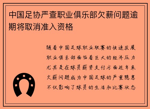 中国足协严查职业俱乐部欠薪问题逾期将取消准入资格